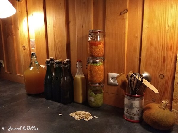 Fermentation