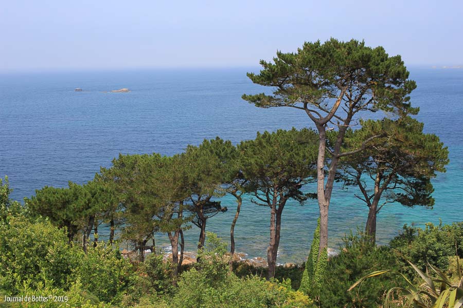 Bretagne ou côte d'azur ?...