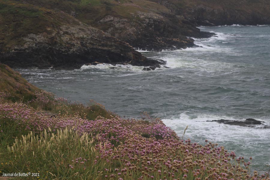 La lande de la côte