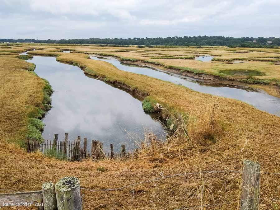 Les marais