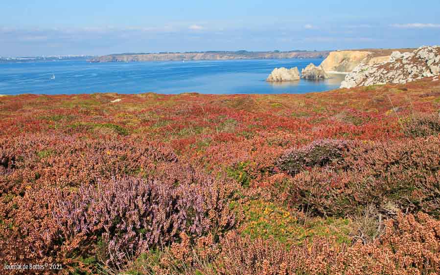 Les landes près de Camaret