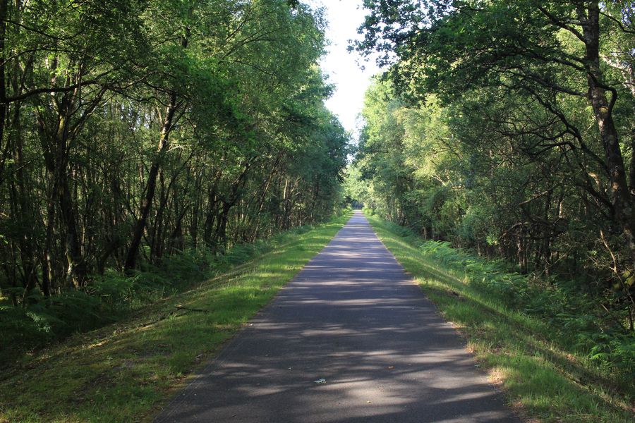 La véloroute jusqu'à Questembert