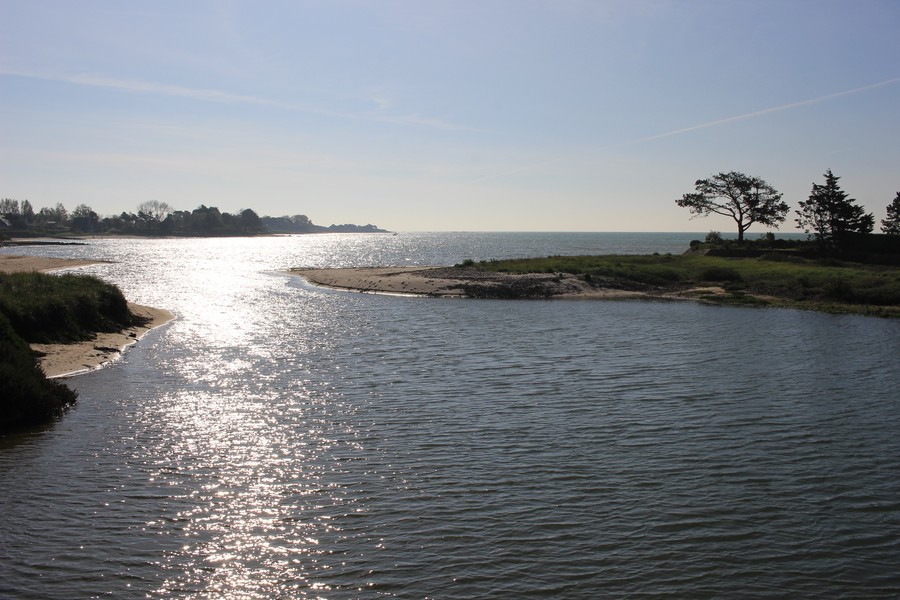 L'estuaire de la Saire
