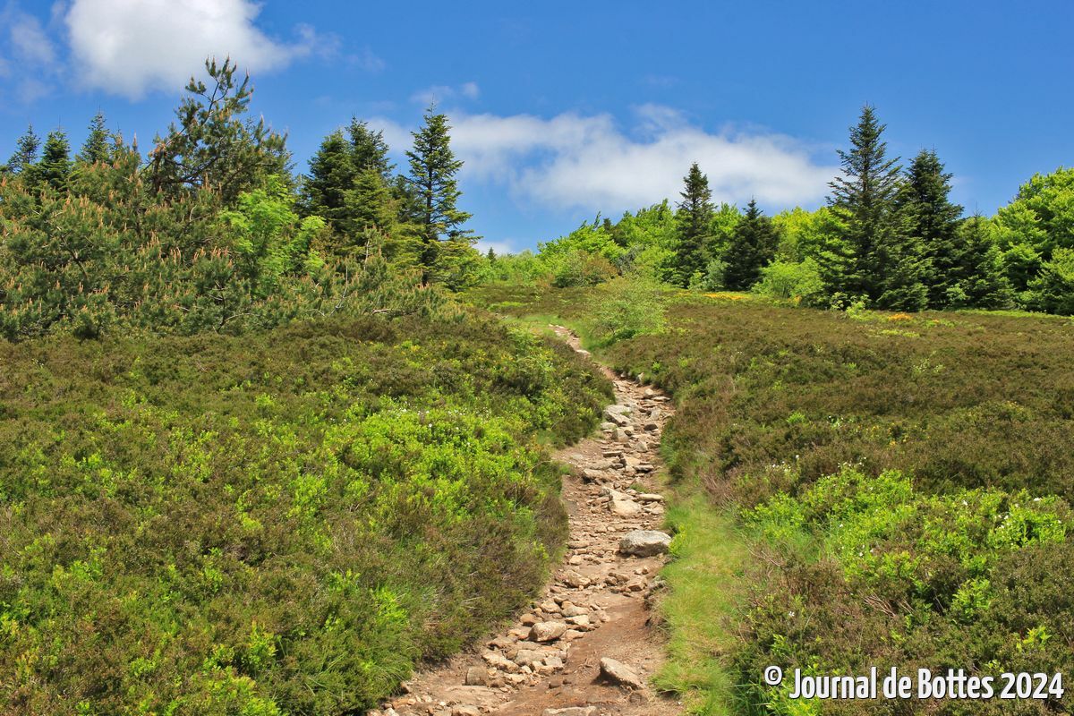 vers le crêt de la Perdrix