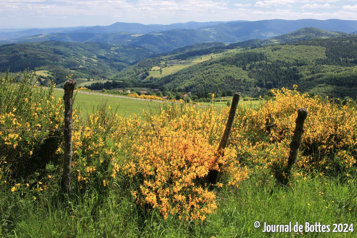 Panorama près des Hautes Gouttes