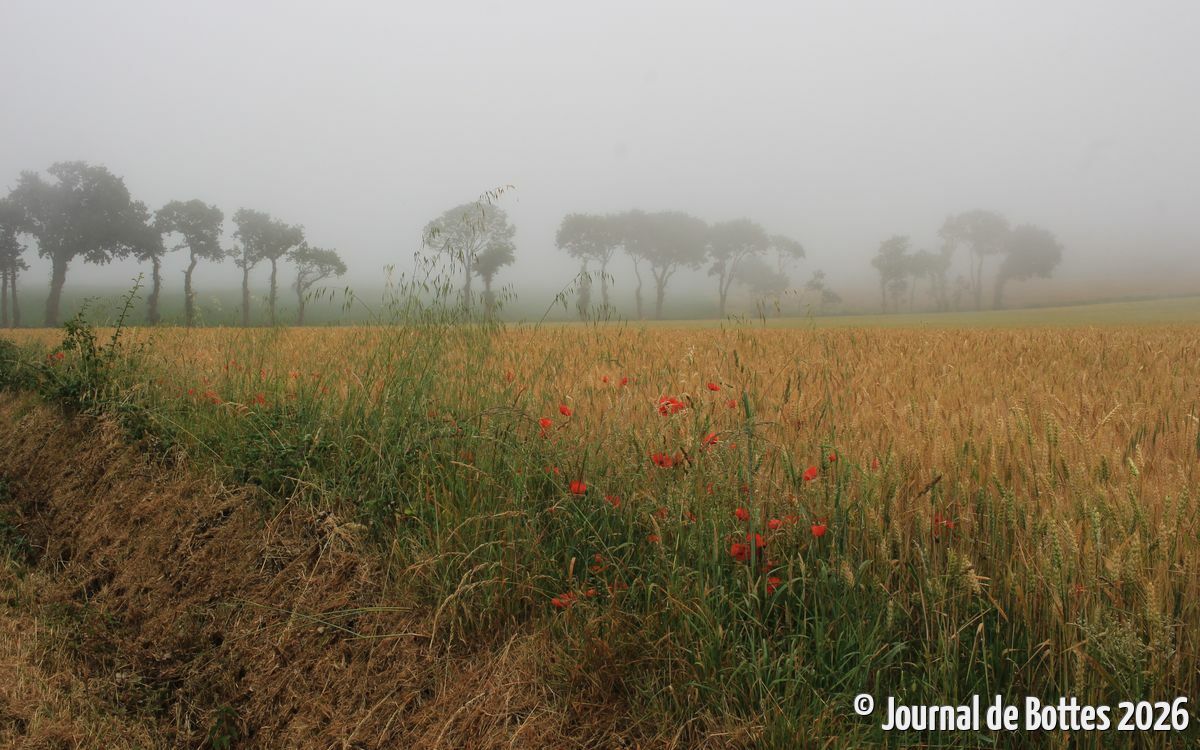 campagne avant Erquy