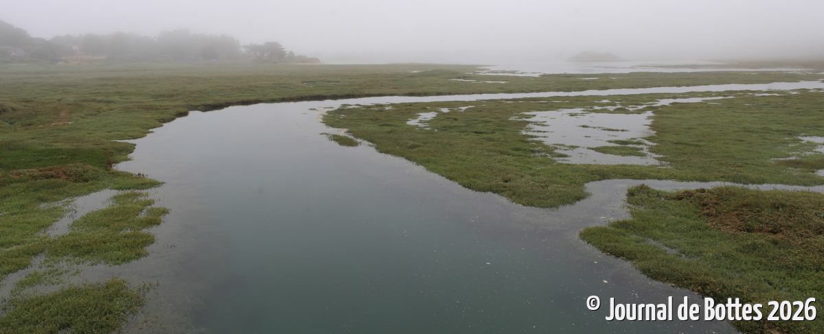 marais des salines
